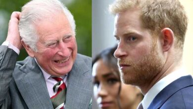 King Charles Snubs Prince Harry’s Attacks as He Celebrates Huge Milestone with a Smile