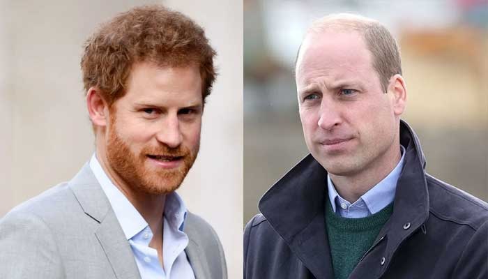 Prince William Breaks Silence After Prince Harry's Explosive Claims But Avoids One Big Question