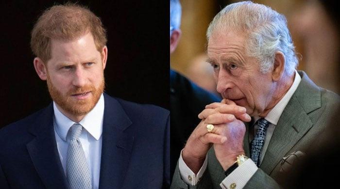 Prince Harry Let Down by King Charles in Explosive BBC Interview About Security Battle
