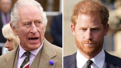 Prince Harry Branded a Liability as King Charles Reaches Breaking Point