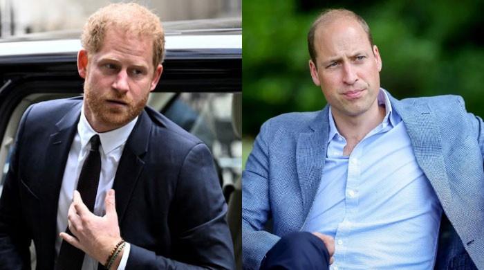 Insider Reveals Shocking Depth of Prince William and Prince Harry's Feud