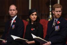 Royal Expert Drops Bombshell on Prince Harry and Meghan Markle's Titles As Prince William’s Unexpected Stance Shocks Everyone
