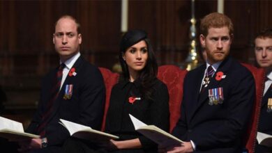 Royal Expert Drops Bombshell on Prince Harry and Meghan Markle's Titles As Prince William’s Unexpected Stance Shocks Everyone