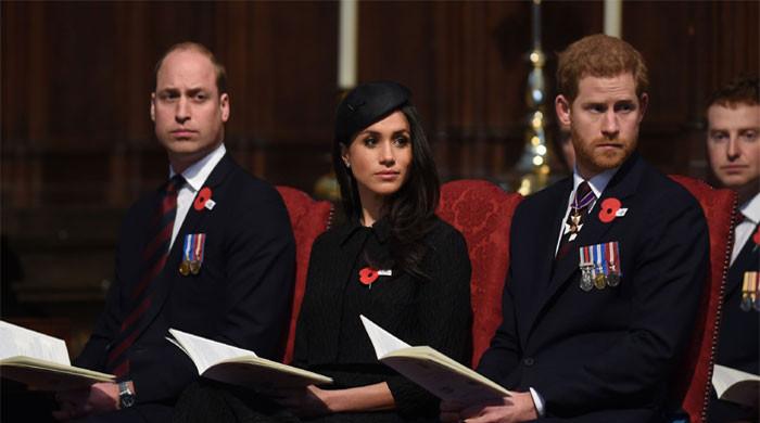 Royal Expert Drops Bombshell on Prince Harry and Meghan Markle's Titles As Prince William’s Unexpected Stance Shocks Everyone