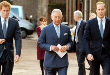 King Charles Would Choose Sons Over the Crown in Unprecedented Royal Twist