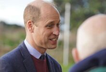 Prince William Drops Powerful Docuseries Bombshell and Issues Emotional Statement That Has Fans Buzzing