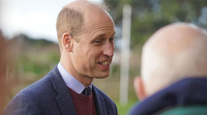 Prince William Drops Powerful Docuseries Bombshell and Issues Emotional Statement That Has Fans Buzzing
