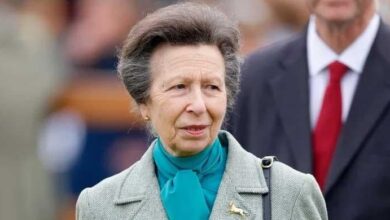 Princess Anne Rushes to Hospital After Horror Crash at Victory Parade