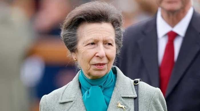 Princess Anne Rushes to Hospital After Horror Crash at Victory Parade