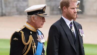 Ailing King Charles Struggles with Health and Heartache Over Prince Harry and Grandchildren