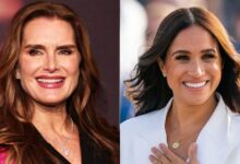 Brooke Shield's Meghan Markle Criticism Mysteriously Vanishes and What Are They Trying to Hide