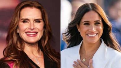 Brooke Shield's Meghan Markle Criticism Mysteriously Vanishes and What Are They Trying to Hide