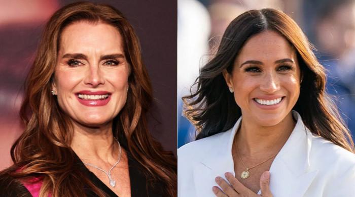 Brooke Shield's Meghan Markle Criticism Mysteriously Vanishes and What Are They Trying to Hide