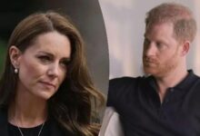 Why Kate Middleton Feels Betrayed by Prince Harry’s Ongoing Attacks