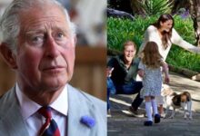 Heartbroken King Charles Begs Kate Middleton to Save His Bond With Archie and Lilibet Before It's Too Late