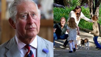 Heartbroken King Charles Begs Kate Middleton to Save His Bond With Archie and Lilibet Before It's Too Late