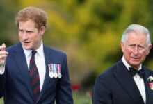 Prince Harry May Know Shocking Truth About King Charles Health As Royal Expert Drops Bombshell