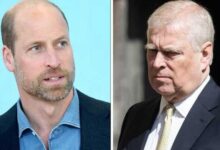 Prince Andrew’s Son-in-Law Breaks Silence on Prince William’s Shocking Solo Appearance