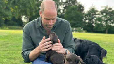 Kate Middleton and the Kids Break Silence with Emotional Birthday Surprise for Prince William