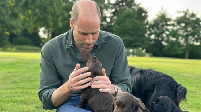 Kate Middleton and the Kids Break Silence with Emotional Birthday Surprise for Prince William