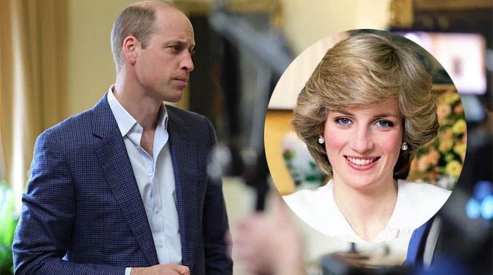 Princess Diana Secretly Wanted Harry to Be King As Shocking Revelations Spark Royal Debate