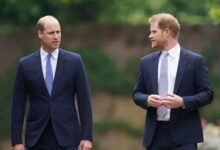 Prince William's Ruthless Move Against Prince Harry’s Kids Leaves Royal Fans Stunned