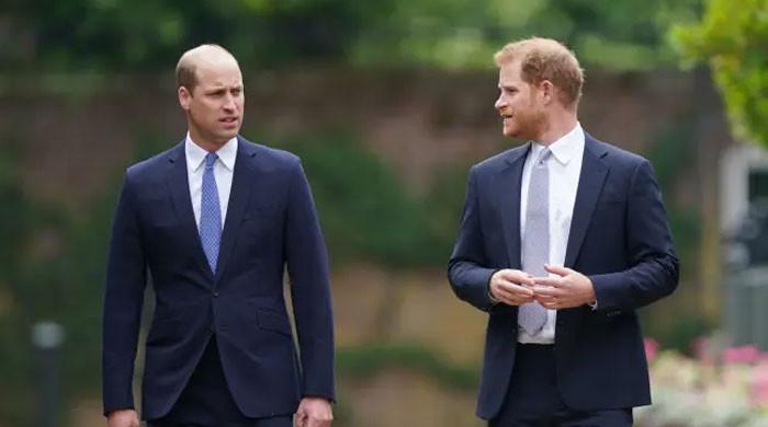 Prince William's Ruthless Move Against Prince Harry’s Kids Leaves Royal Fans Stunned