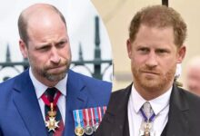 Prince William Secretly Planning His Own Version of Royal Exit Like Prince Harry