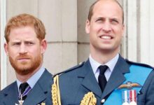 Prince William's Final Blow to Prince Harry With No Royal Roles for Archie and Lilibet Sparks Outrage
