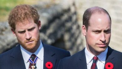 Prince Harry Must Go the Extra Mile to Win Back Prince William and the Clock Is Ticking