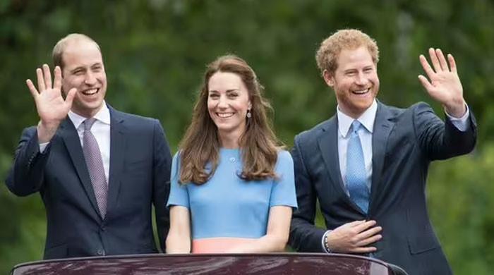 Prince Harry’s Alleged Attack on Kate Middleton Sparks New Royal Firestorm