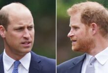 Prince William’s Royal Future Won’t Include Prince Harry As He’s No Longer in the Plan