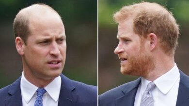 Prince William’s Royal Future Won’t Include Prince Harry As He’s No Longer in the Plan
