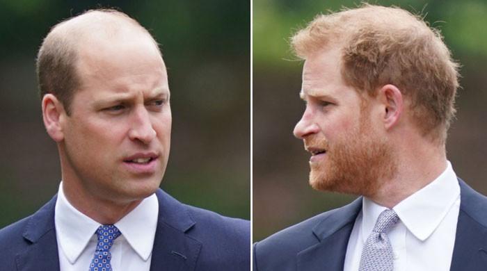 Prince William’s Royal Future Won’t Include Prince Harry As He’s No Longer in the Plan