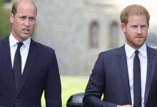 Prince Harry Makes Shocking Move to Win Back Royal Family But Prince William Isn’t Buying It