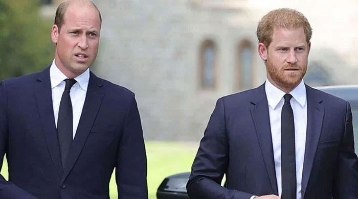 Prince Harry Makes Shocking Move to Win Back Royal Family But Prince William Isn’t Buying It