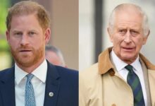 King Charles Drops Major Hint About Prince Harry’s Future Role After Secret Peace Talks