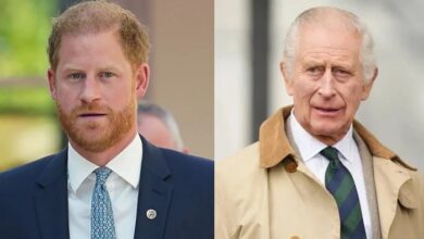 King Charles Drops Major Hint About Prince Harry’s Future Role After Secret Peace Talks