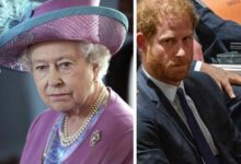 Prince Harry Left Queen Elizabeth Saddened and Shocked Ahead of Royal Wedding