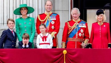 Royal Family Slammed for Lavish Spending Expert Says They're Burning Public Money While Preaching Climate Change