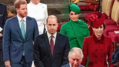 Meghan Markle’s Shocking Move on Princess Diana’s Birthday Leaves Prince William and Kate Middleton Fuming