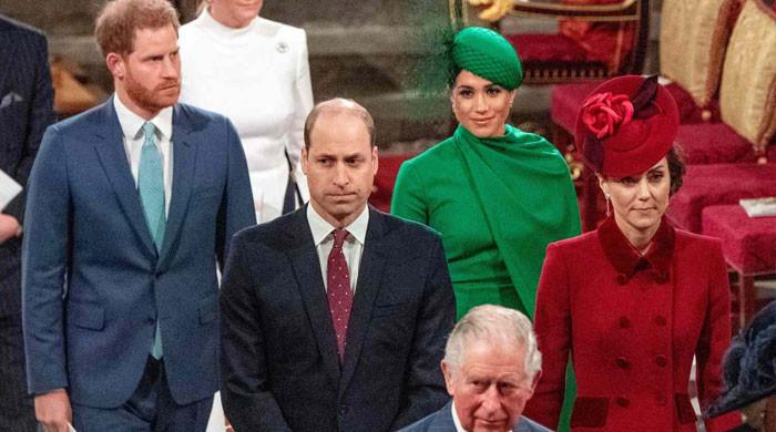 Meghan Markle’s Shocking Move on Princess Diana’s Birthday Leaves Prince William and Kate Middleton Fuming