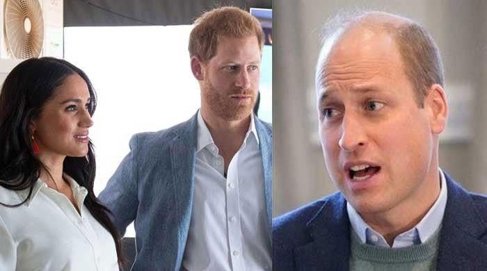 Prince William is Seething After Meghan Markle's Shocking Move on Princess Diana’s Birthday