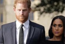 Meghan Markle Accused of Using Prince Harry as Stepping Stone to Fame
