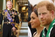 King Charles Breaks Silence With Brutal Move Leaves Prince Harry to Reconcile Alone