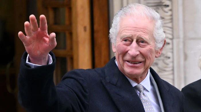 King Charles Unleashes Royal Family’s Secret Weapon as Cancer Battle Forces Him to Step Back