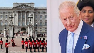 Palace Rushes to Release King Charles Video After Shocking Health Speculation at A State Visit