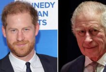 King Charles Publicly Snubs Prince Harry While Showering Praise on Prince William at Royal Banquet