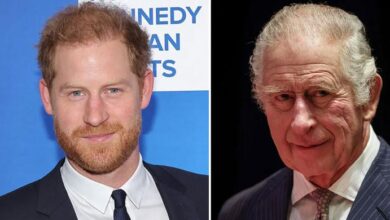 King Charles Publicly Snubs Prince Harry While Showering Praise on Prince William at Royal Banquet
