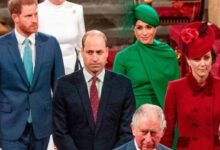 Prince William and Kate Snubbed from Secret Peace Talks Between King Charles and Prince Harry